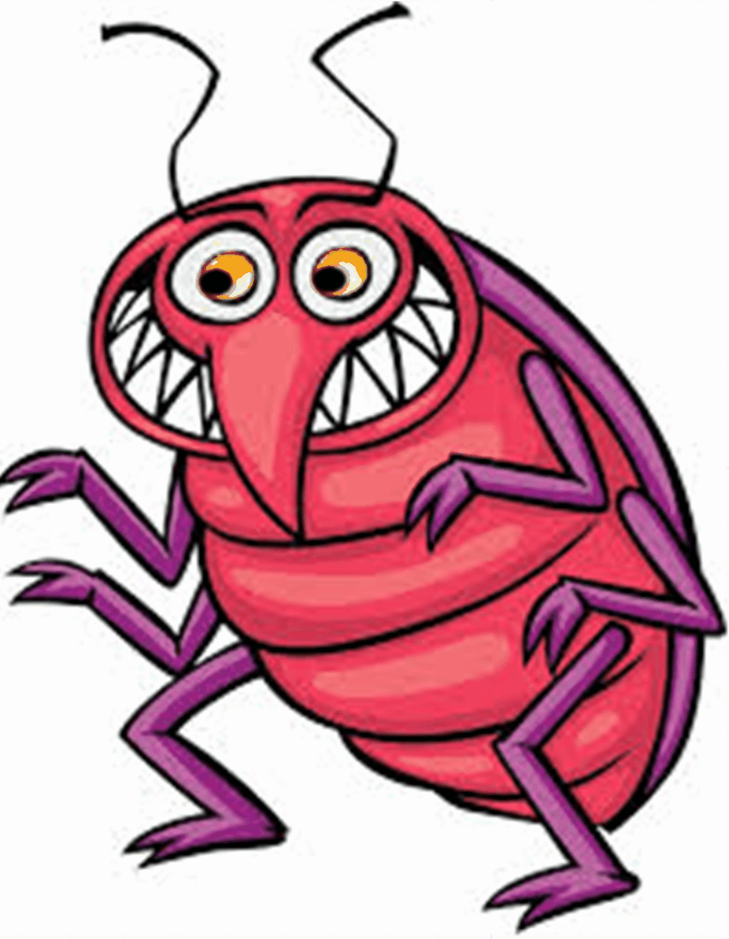 Bugsly is judging you.